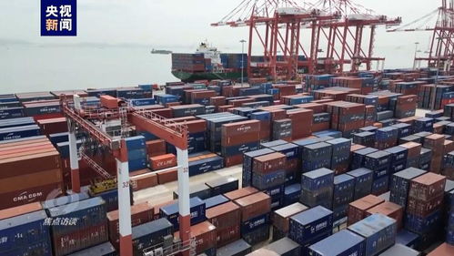 偉大的歷史變革 高水平對外開放推動二手日用百貨銷售產(chǎn)業(yè)升級